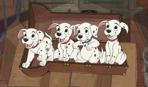 101-dalmatians 0 목록